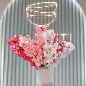 تصویر شکوفه بهاری پر گل 