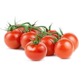 تصویر گوجه فرنگی بوته رس 1 کیلوگرمی 