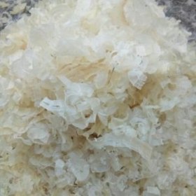 تصویر کتیرا برگی ۱۳ گرم 