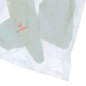 تصویر کف دریا موناکو کف-دریا-موناکو