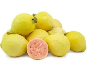 تصویر نهال گواوا زرد 