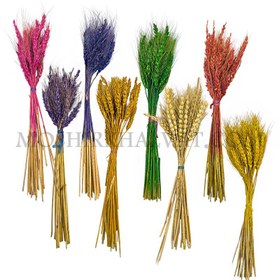 تصویر گل خشک مدل گندم 