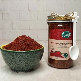 تصویر پول بیبر گل‌جیل 