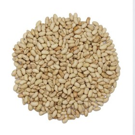 تصویر سویا آجیلی ( 1 کیلویی) 