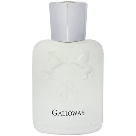 تصویر عطر جیبی برندینی مدل Galloway حجم 33 میلی لیتر Brandini Galloway pocket perfume, volume 33 ml