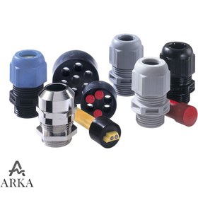 تصویر گلند Gland