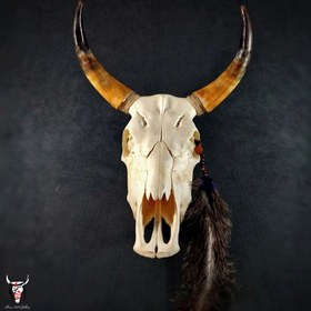 تصویر جمجمه گاو ساده 