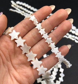 تصویر مهره صدفی ریسه ای 