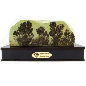 تصویر سنگ شجر فسیلی (دندریتی ) کد 2597 