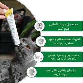 تصویر خمیر مالت گربه جیم کت مدل Gastro Intestinal وزن ۵۰ گرم 