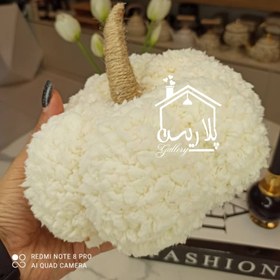 تصویر کدو تدی سفید 19068 