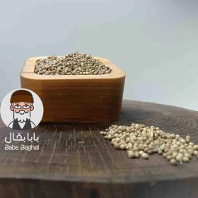 تصویر تخم گشنیز 