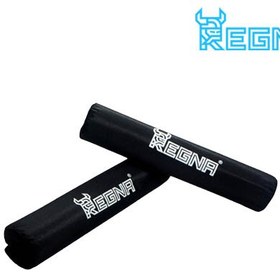 تصویر پد اسکات R 