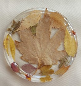 تصویر زیرلیوانی رزینی پاییزی ا Autumn resin saucer Autumn resin saucer