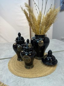 تصویر جینجر جار 