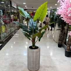 تصویر درختچه باباآدم مصنوعی 