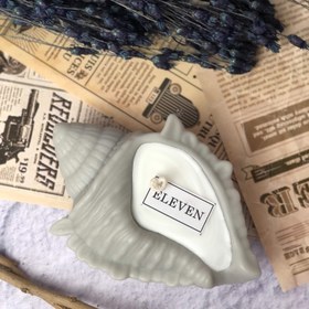 تصویر صدف کوچک 