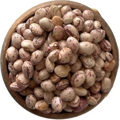 تصویر لوبیا چیتی ایرانی 