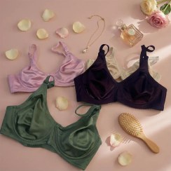 تصویر سوتین فنردار مینی مایزر پرلون کارن406 