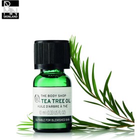 تصویر روغن بادی شاپ BODY SHOP مدل تی تری Tea Tree حجم 10 میلی لیتر 