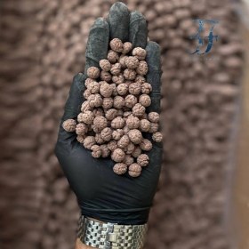 تصویر نخود شکلاتی 