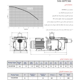 تصویر پمپ آب فیلتر دار استخری SFPT300 نوید موتور 