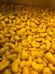 تصویر بادام هندی cashew