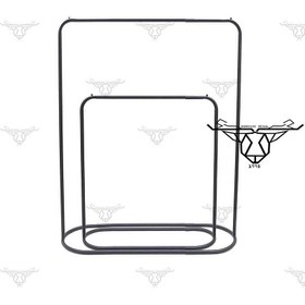 تصویر رگال دوقلوDR-R62 