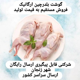 تصویر گوشت بلدرچین ۳ کیلوگرم 