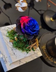 تصویر رز جاودان طبیعی گل ماندگار و هدیه لوکس 