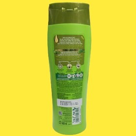 تصویر شامپو تغذیه کننده و محافظت کننده مو با روغن زیتون و حنا واتیکا 400 میلی Vatika natural Nourishing and protective shampoo with olive oil and henna 