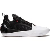 تصویر کتونی بسکتبال وید آل سیتی 12 اینکور Wade All City 12 Encore 