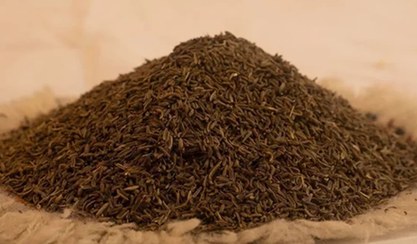 تصویر زیره کوهی (وحشی) 