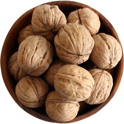 تصویر گردو با پوست 1 کیلوگرم Walnuts in Shell 1Kg