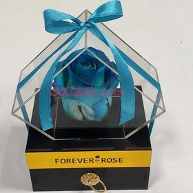 تصویر رز جاودان آبی سفید 