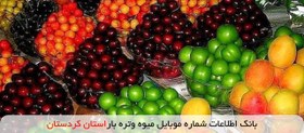 تصویر بانک اطلاعات شماره موبایل میوه و تره بار استان کردستان 