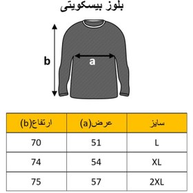 تصویر بلوز بیسکویتی 