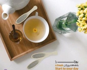 تصویر دمنوش گیاهی قاشقی دکتر بین 