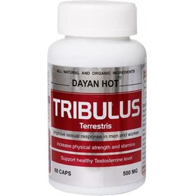 تصویر کپسول تریبولوس دایان هات دایان فارما 60 عدد 