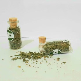 تصویر گیاه کت نیپ گربه 