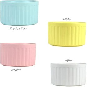 تصویر کاسه ایکیا مینی 