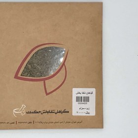 تصویر زیره سبز 