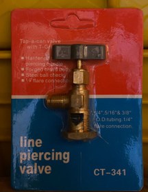 تصویر شیر سوزنی چینی 