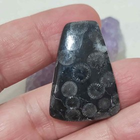 تصویر نگین مرجان فسیلی سیاه اصل کد 4 