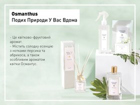 تصویر خوشبوکننده انگلیش هوم مدل Osmantus سایز 200 میل سبز روشن Osmantus Cologne 200 ml Light Green