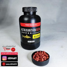 تصویر غذا ماهی آکواریوم آستا XL سایز درشت 275 میل 