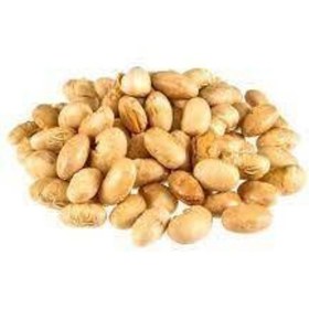 تصویر سویا آجیلی فله 