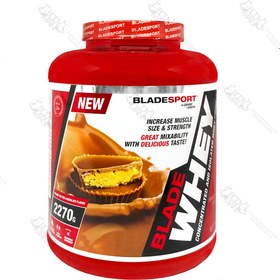 تصویر پروتئین وی ۱۰۰ بلید اسپرت | BLADE SPORT WHEY 100 