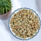 تصویر اسپند نخودی 