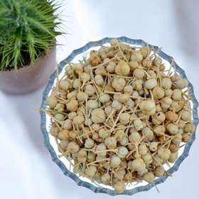 تصویر اسپند نخودی 